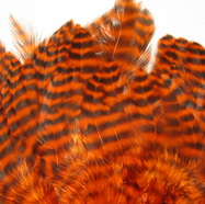 ������� ���� Hen feathers ������ ���������